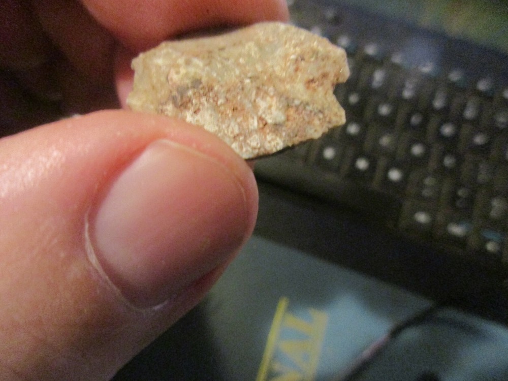 Tiny Circular (Fish Vertebrate?) Fossils