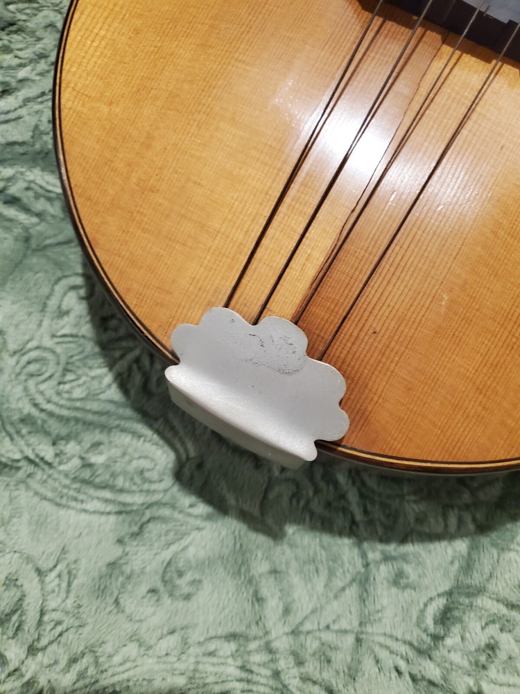1920's Weymann Mandolute