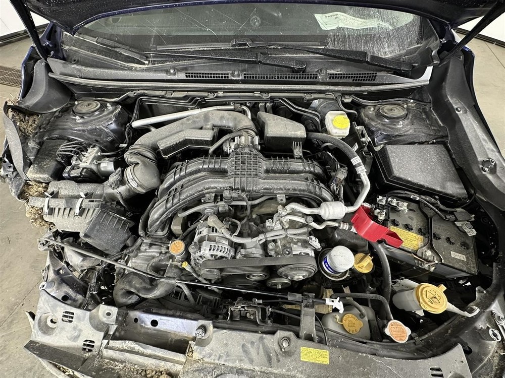 IMPREZA 2024 Camera/Projector 2782223