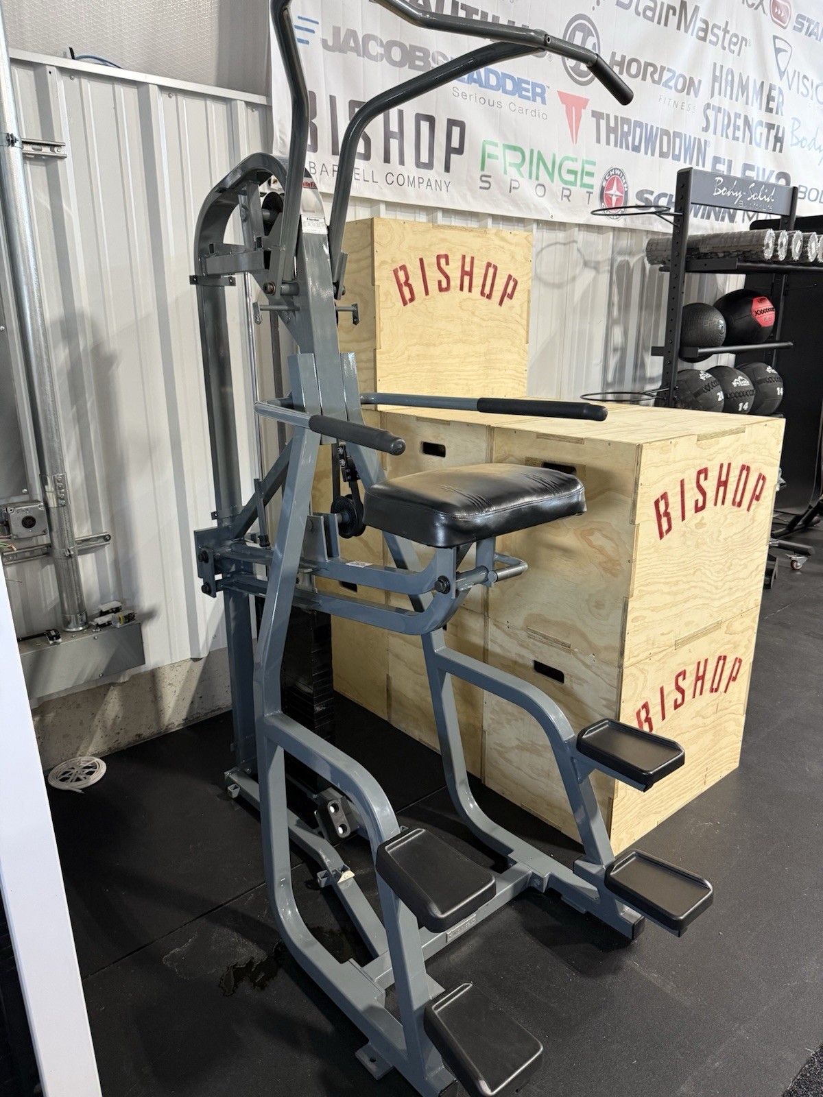 Used Nautilus Nitro Chin Dip (Free shipping)