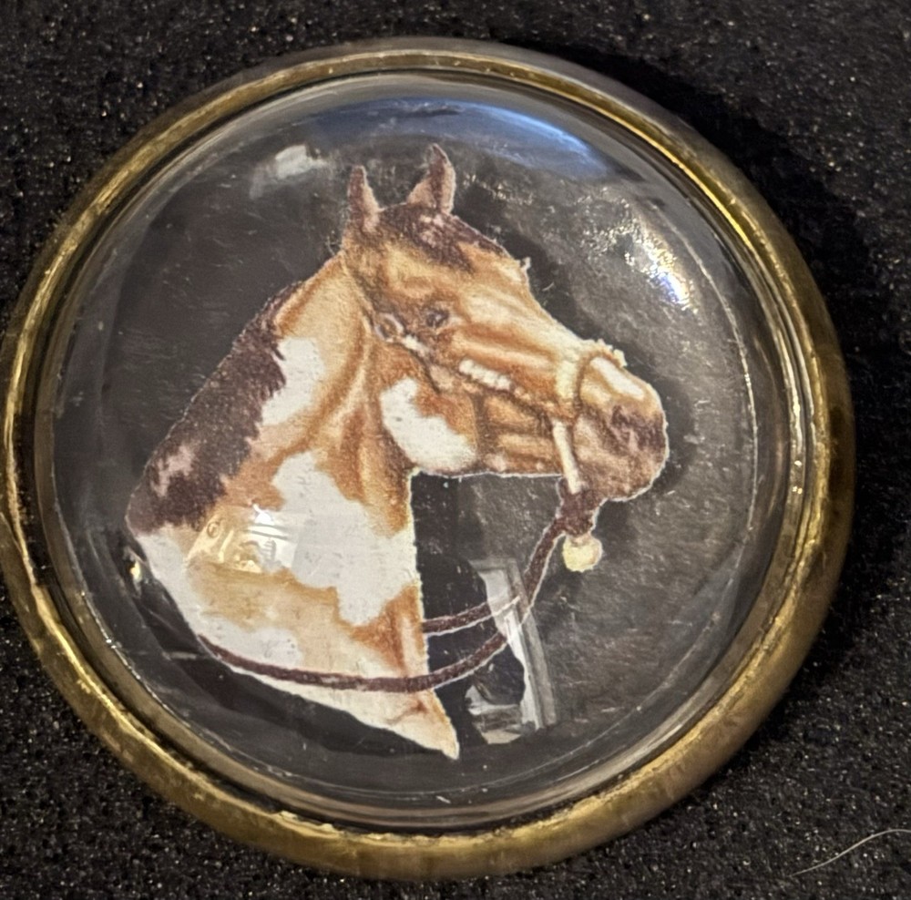 Horse Bridle Rosettes / Conchos / Buttons