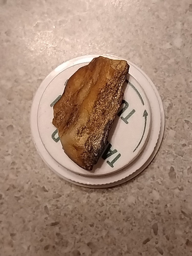 Native Gold In Quartz Vein