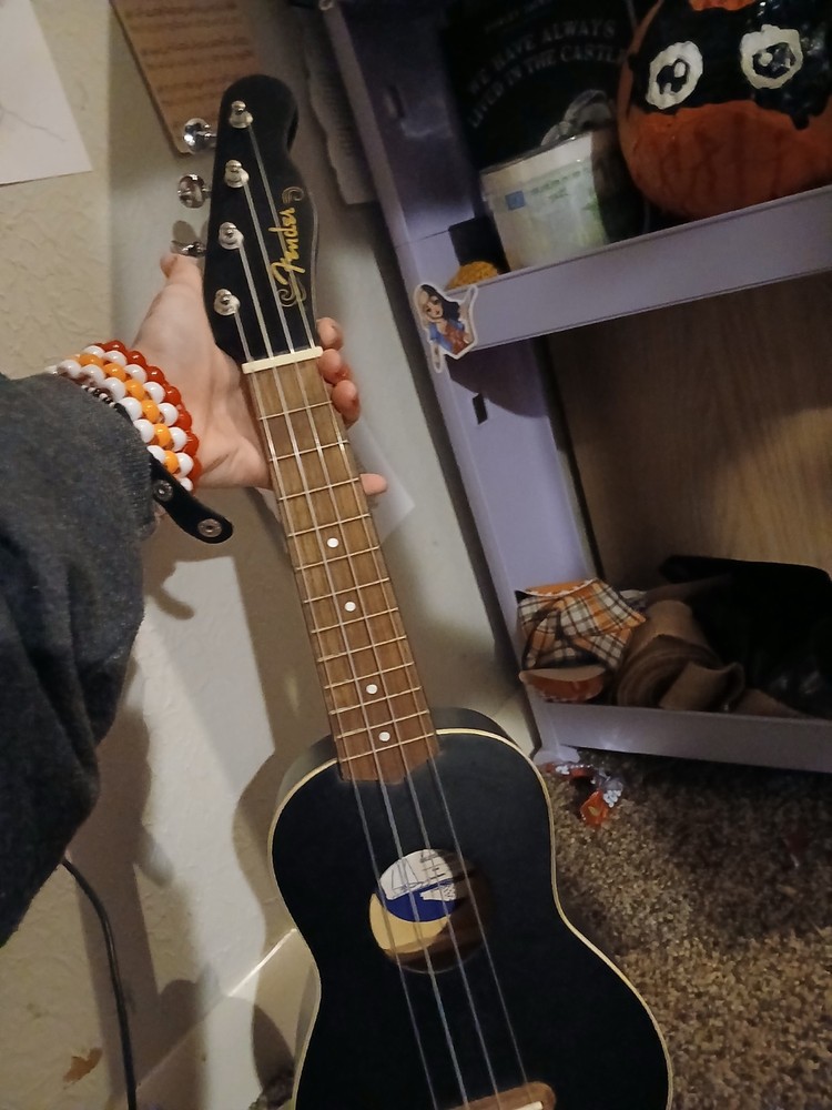 vendor venic suprano ukulele