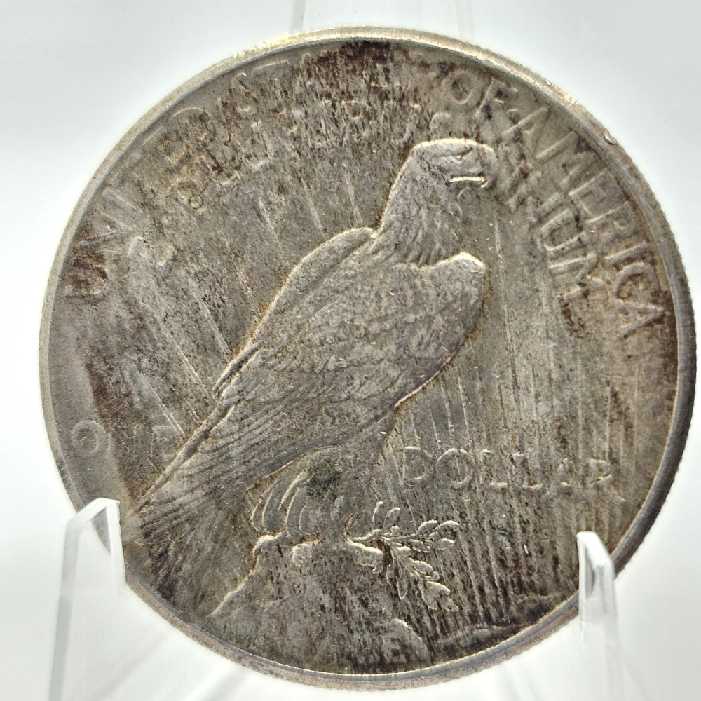 1925 Peace Dollar Darker Tone 90% Silver