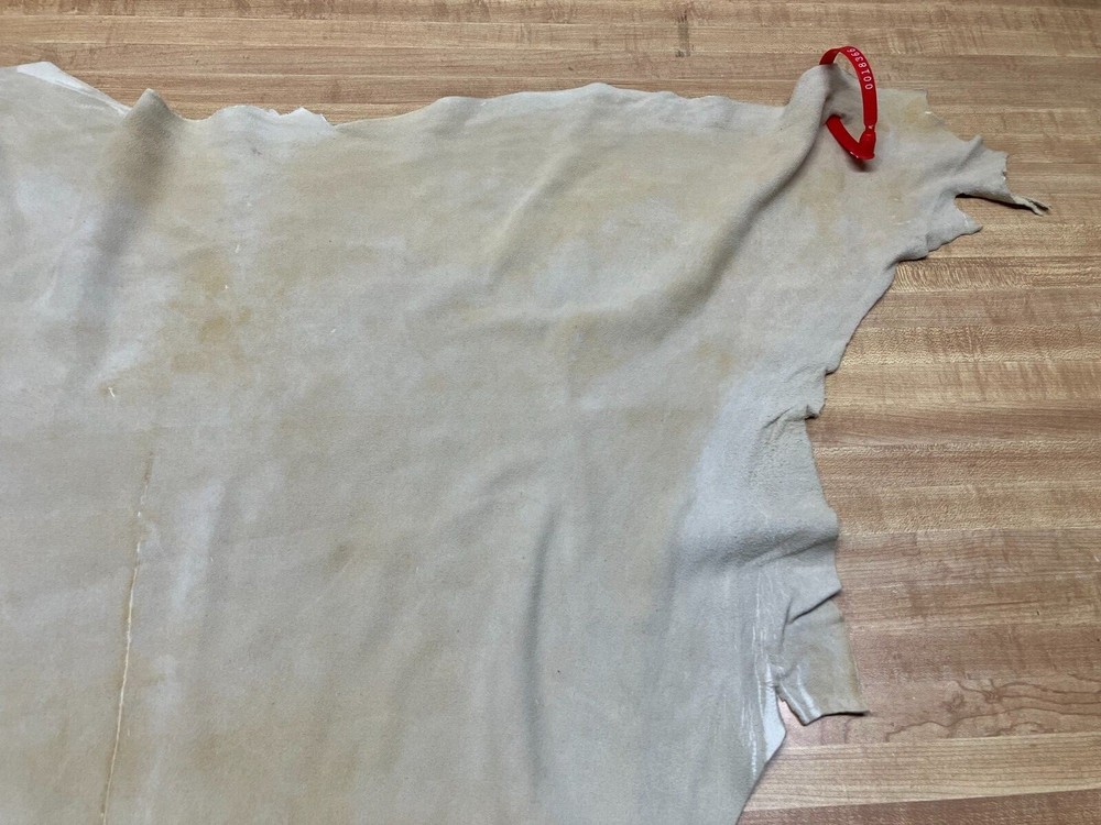 Suede Deer Leather #0018366 Row WW