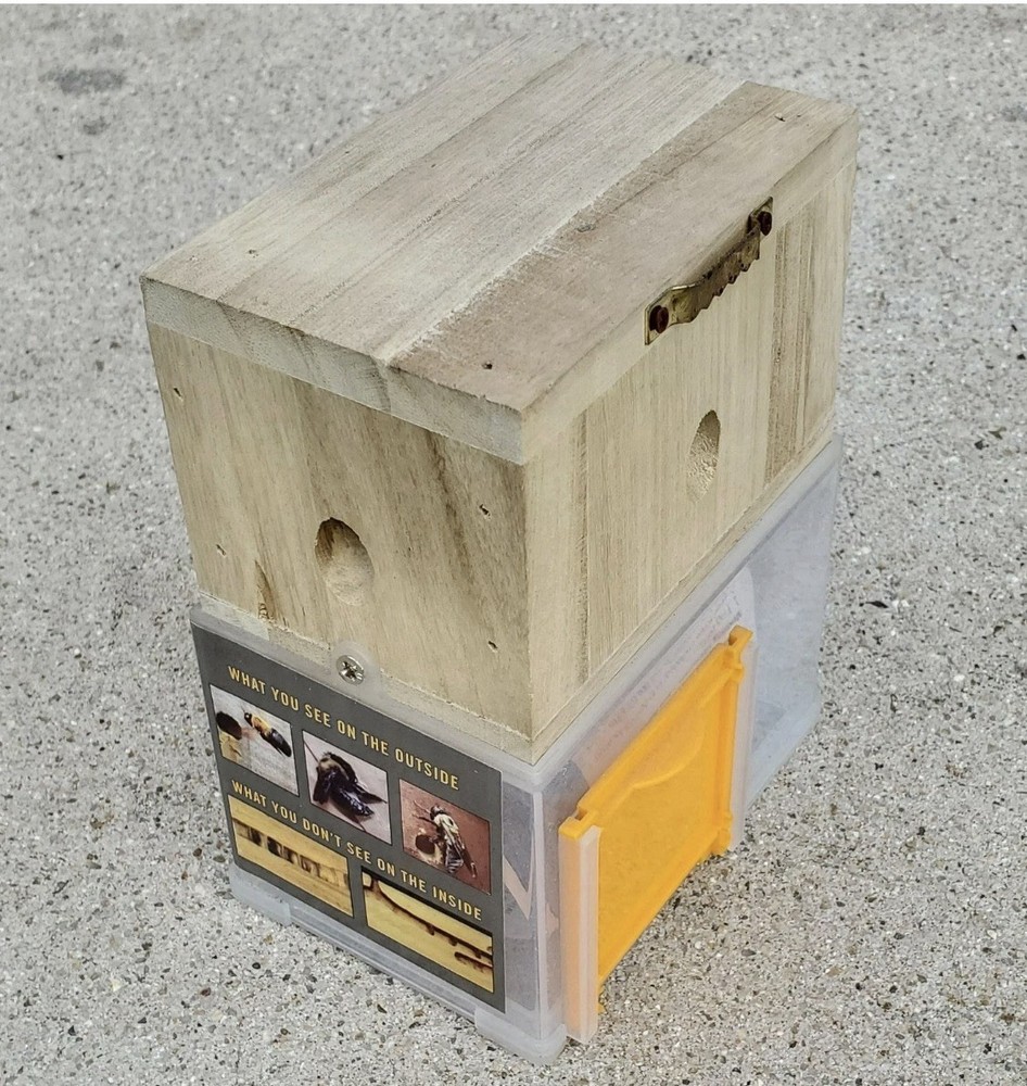 Bees 'N Things Outdoor Carpenter Bee Trap