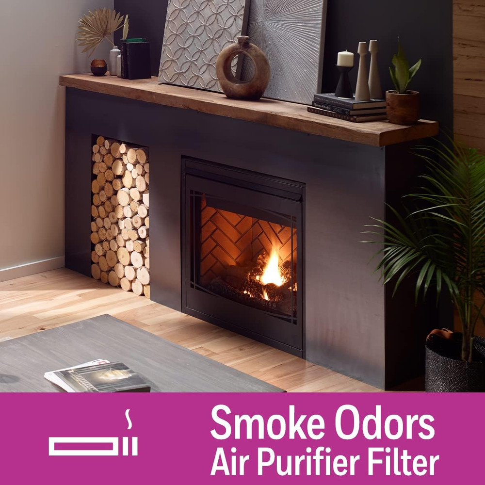 HRFTS1 T Replacement Air ifier Filter