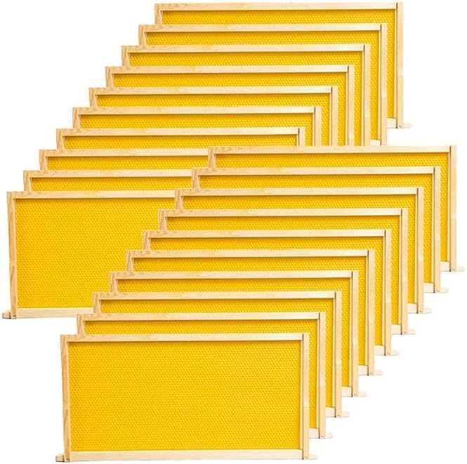 10 Pack Beehive Frames & Wax Foundations Deep Brood Bee Hives