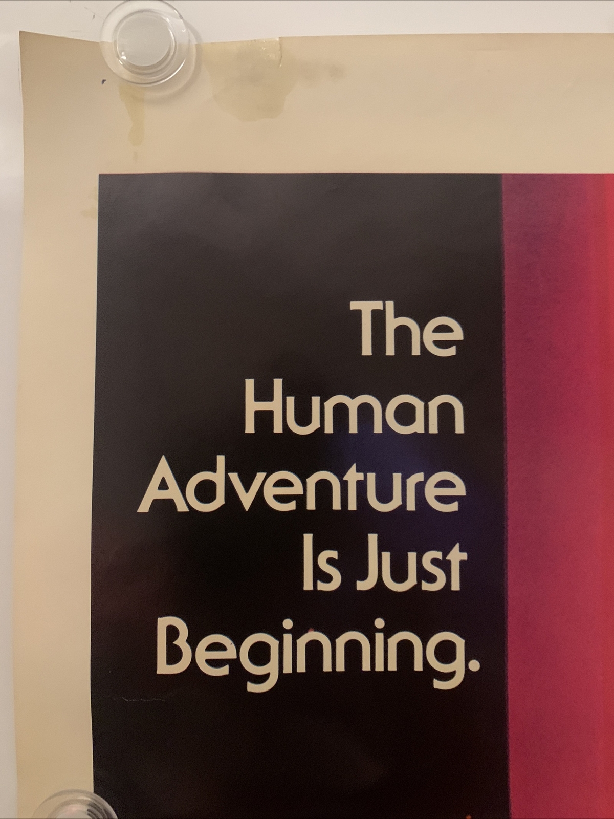 STAR TREK Original One Sheet Movie Poster 1979