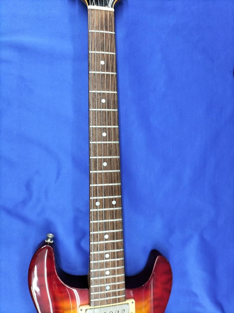 FERNANDES / APG-95GF (no260418)