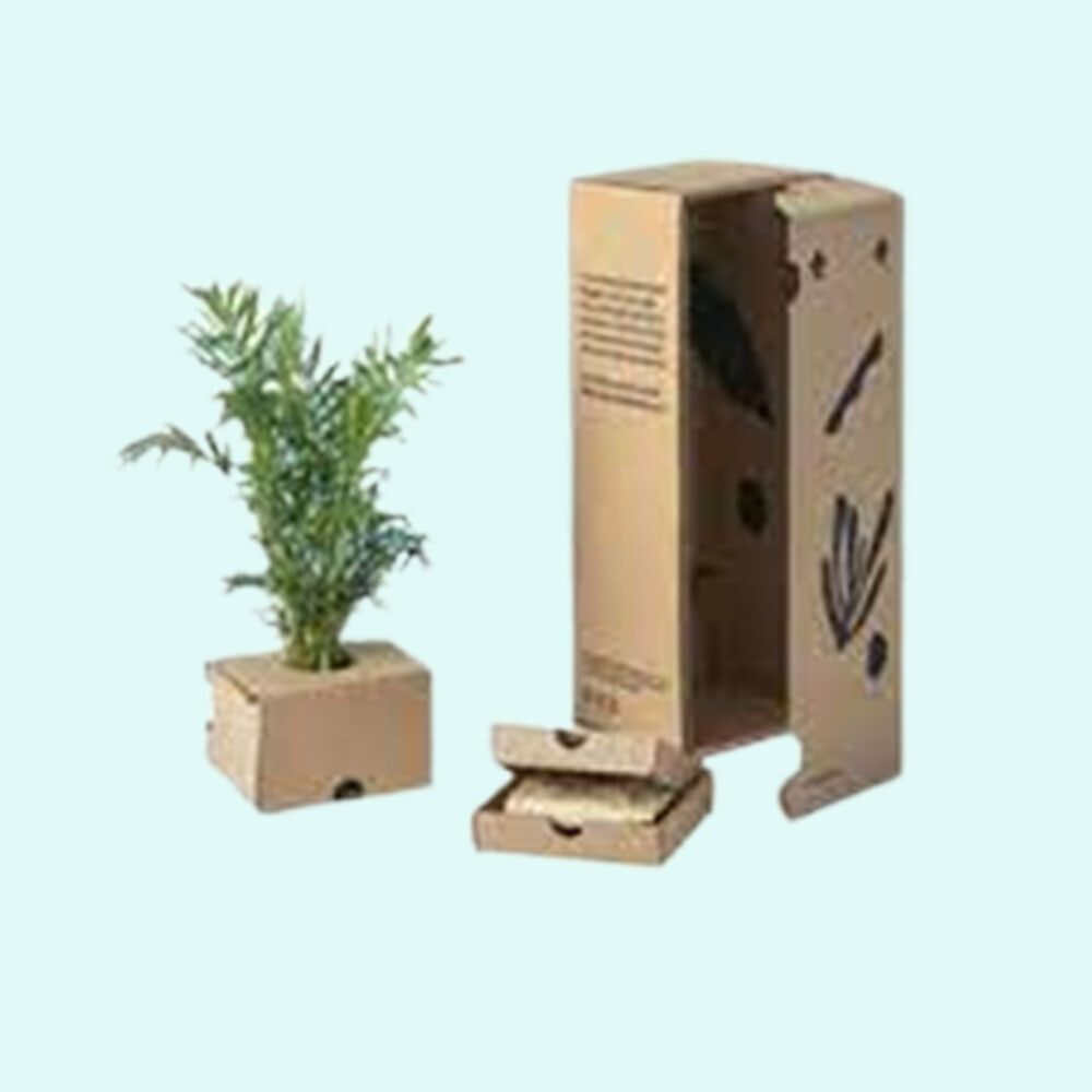 Special Packing For Live Plants