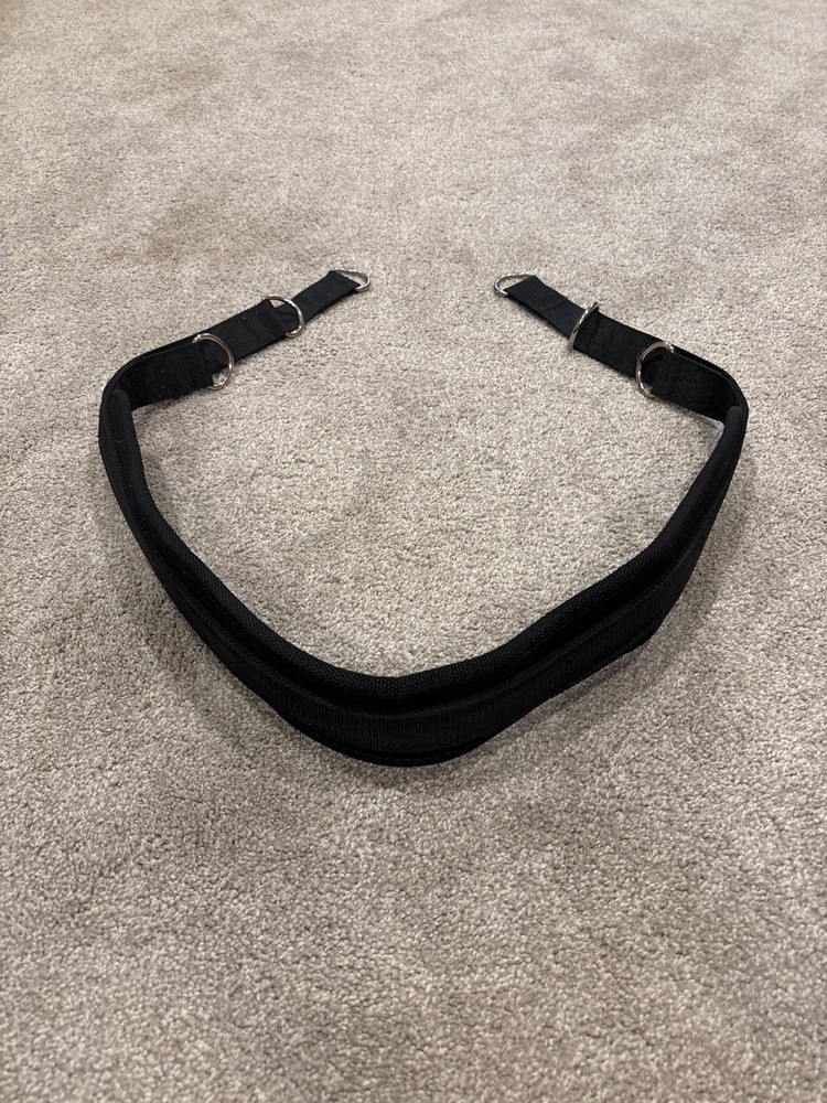 Bowflex Power Pro XTL Ultimate Rowing Belt