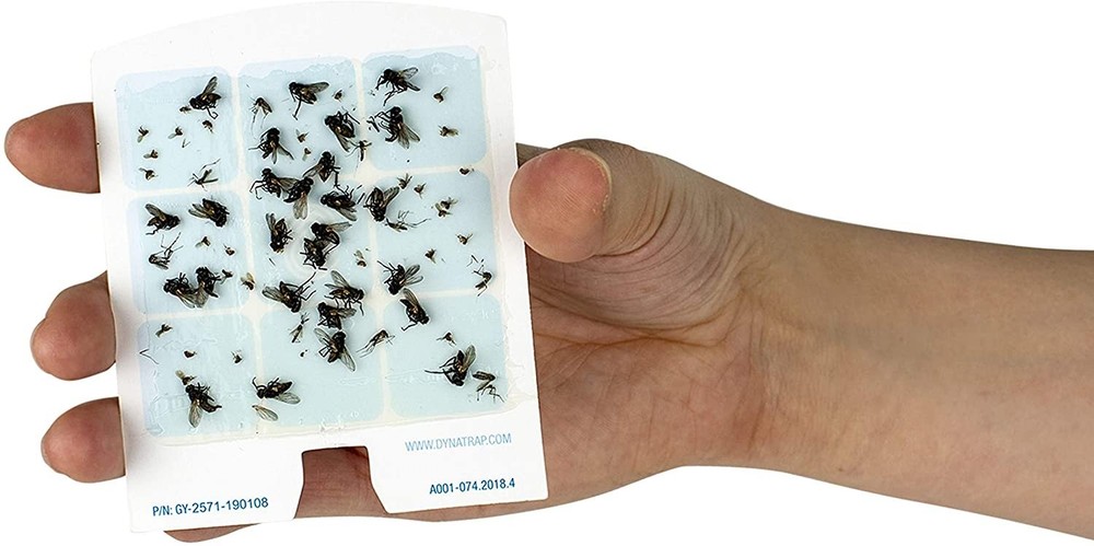 DynaTrap 23005-06 DOT StickyTech Replacement Glue Cards - Cloud