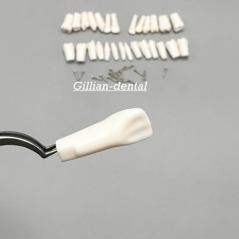 Dental Replacement Screw-in Teeth Typodont Model Practice Removable Tooth Models