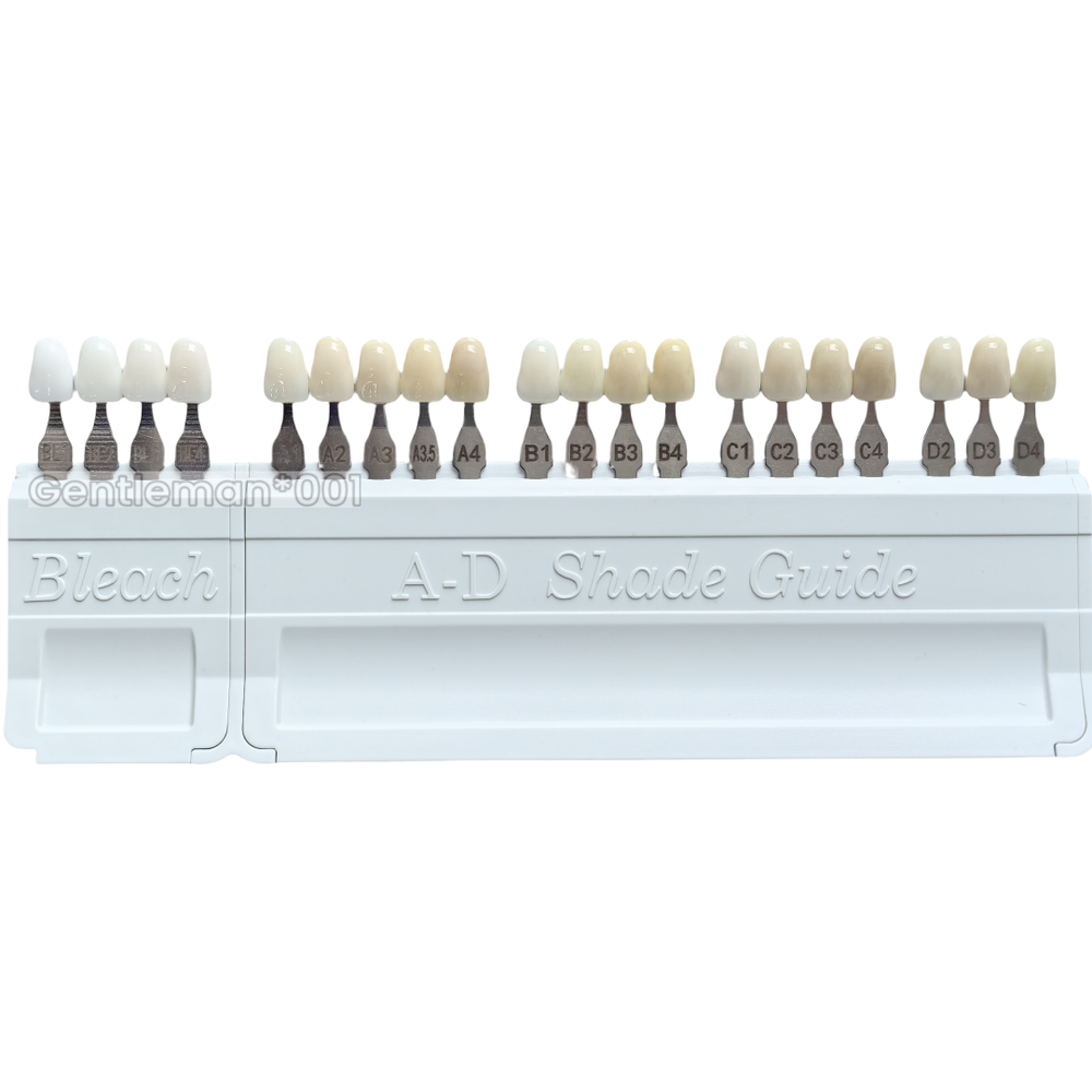 Dental Bleached A-D Shade Guide Bleached Chart Teeth Whitening Based Vita