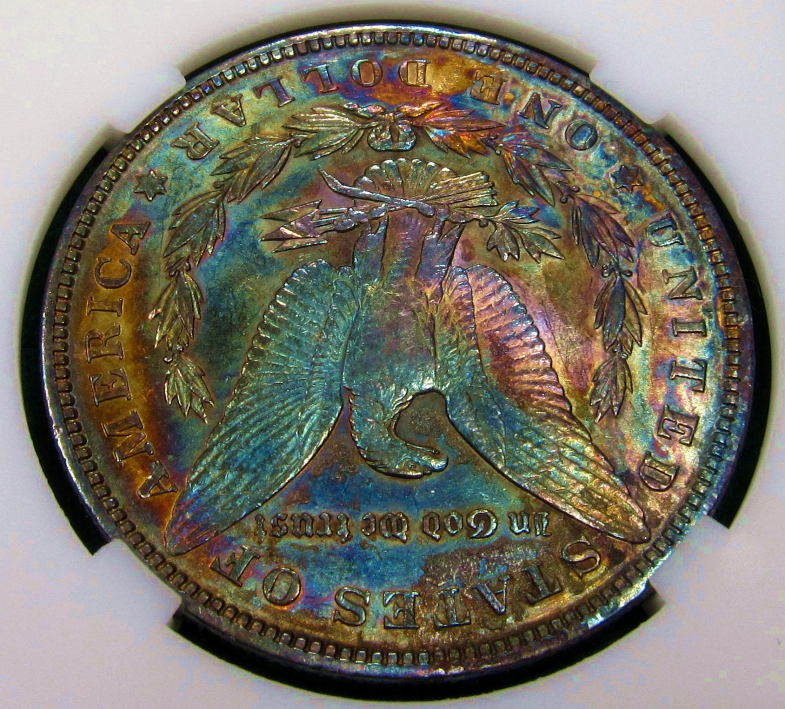 1896 Morgan Dollar Toned Silver ✪ MS ✪ Colorful Rainbow Toning~Gold Magenta Blue