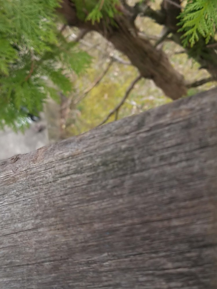 3 VINTAGE TEXAS INSTRUMENTS BOOKS MEMORY INTERFACE DATA LOW POWER SCHOTTKY