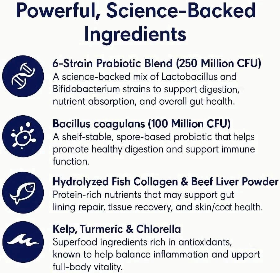 Blisso Advanced Cat Probiotic Drops Digestive Support for Cats with Diarrhea 2pc