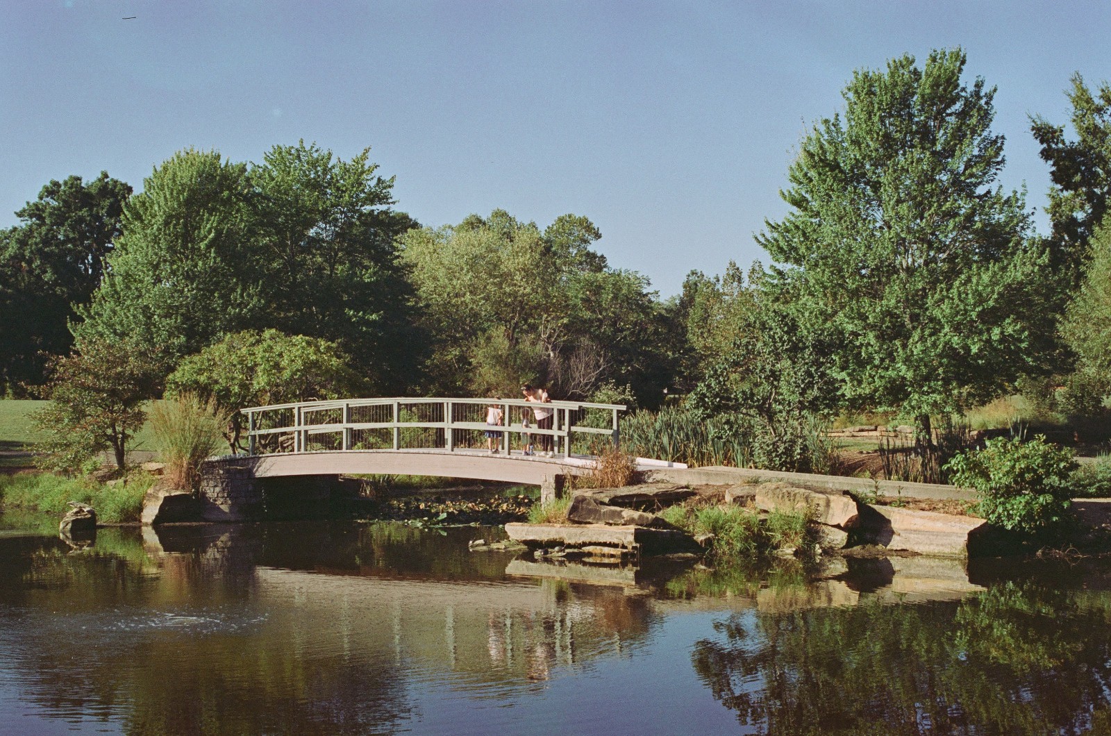 MYSTIC MOTION - 35mm Color Negative Movie Film 100D - 24 exp Process ECN-2