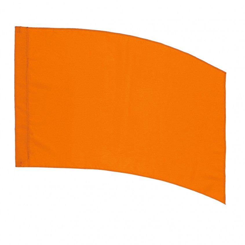 6' Silver Pole and Color Guard Flag Package