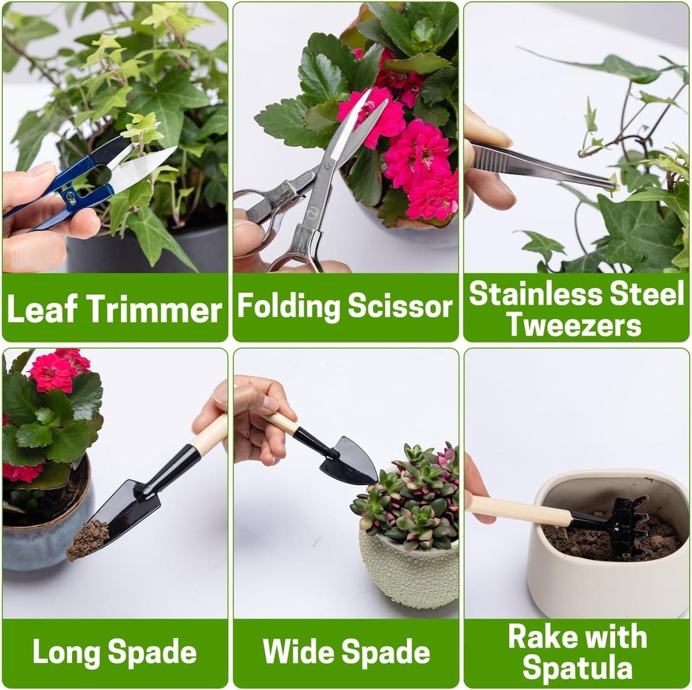 Bonsai Set 8 Pcs - Include Pruner,Fold Scissors,Mini Rake,Bud & Leaf Trimmer Set