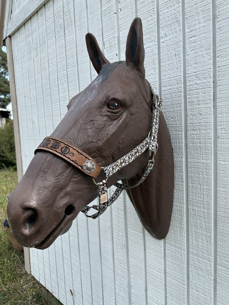 Personalized Nylon Horse Halter