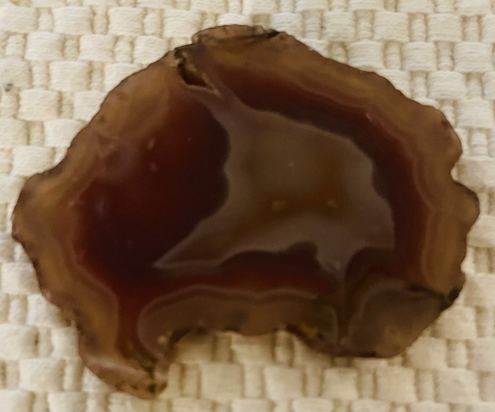 Agate Slice Natural Brown  14g