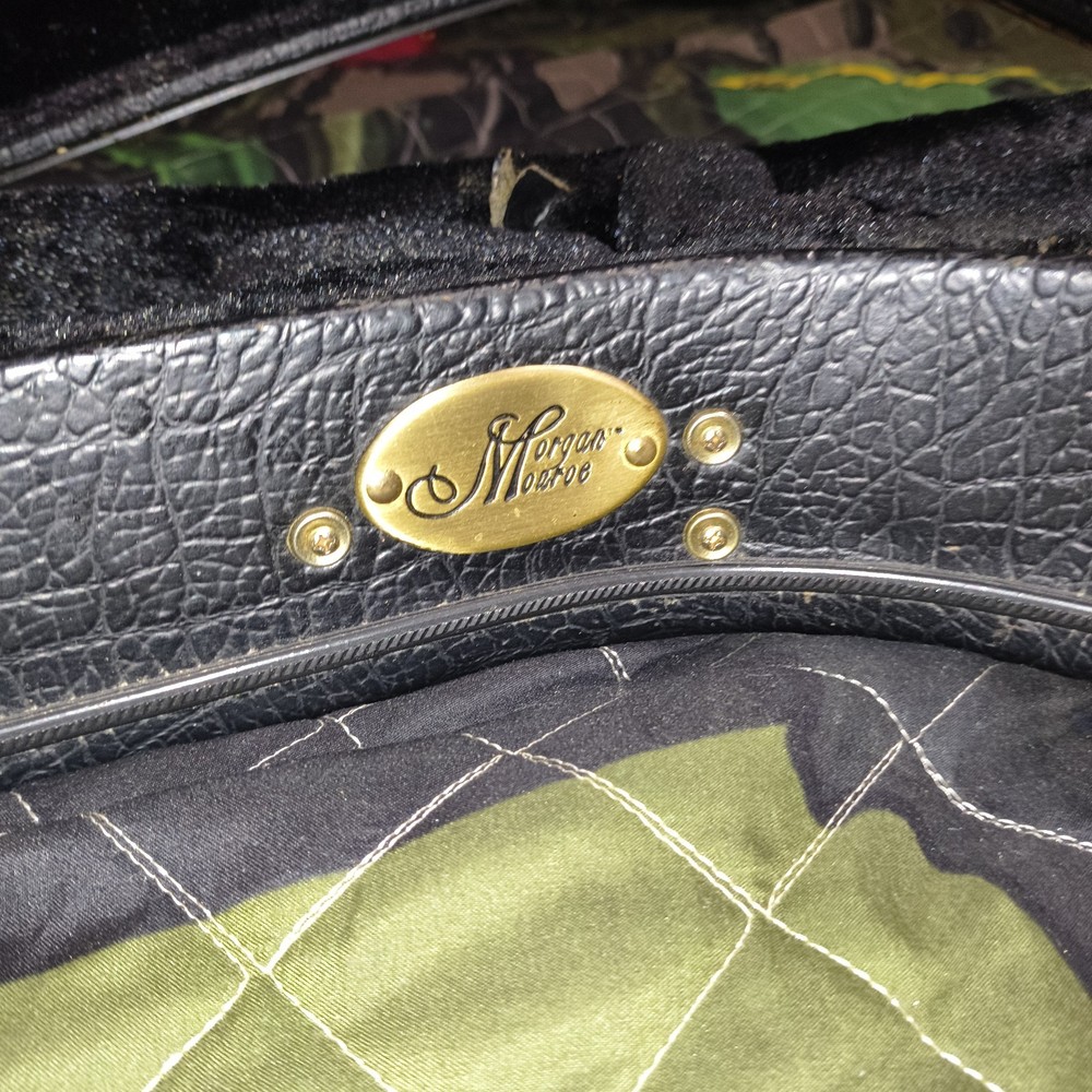 Windsong Mandolin WFM-70