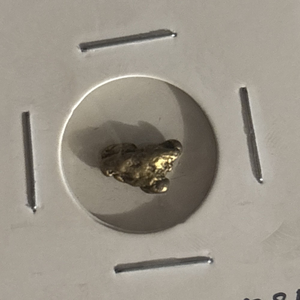 Gold Nugget 1.48 grams
