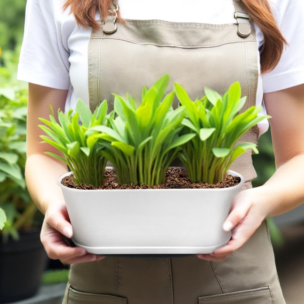 Torfican 5 Set Window Herb Planter Box Rectangular,8.5x3.5 Inch 5, White