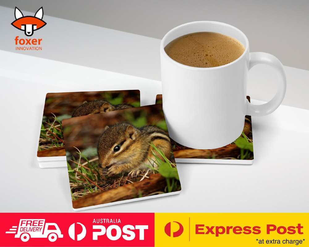 COASTER COFFEE DRINKING MAT|CUTE ADORABLE SQUIRREL RODENT #20
