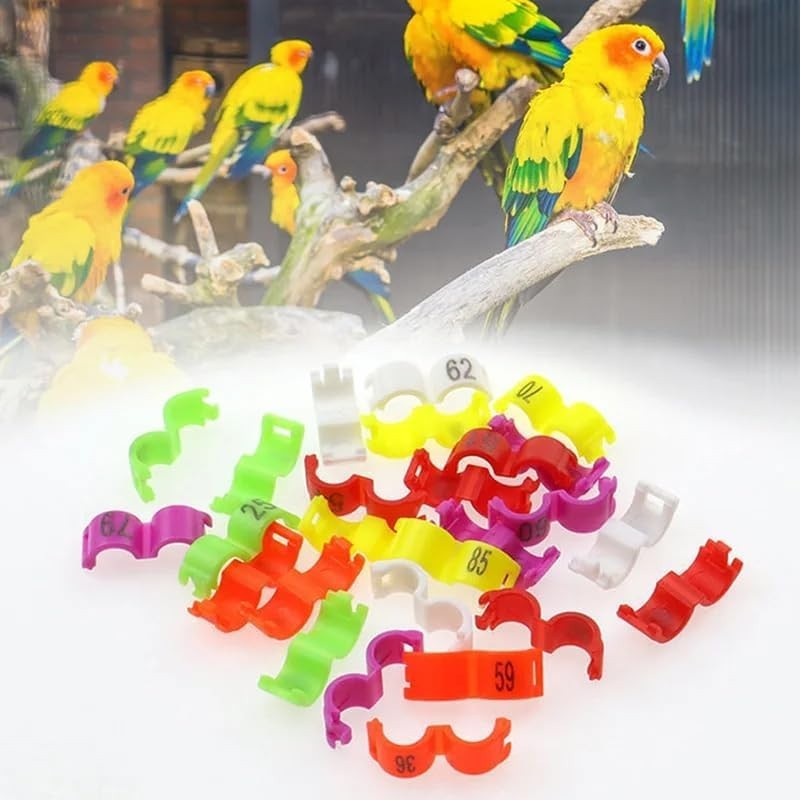 Plastic Bird Rings 3mm Green 100pcs
