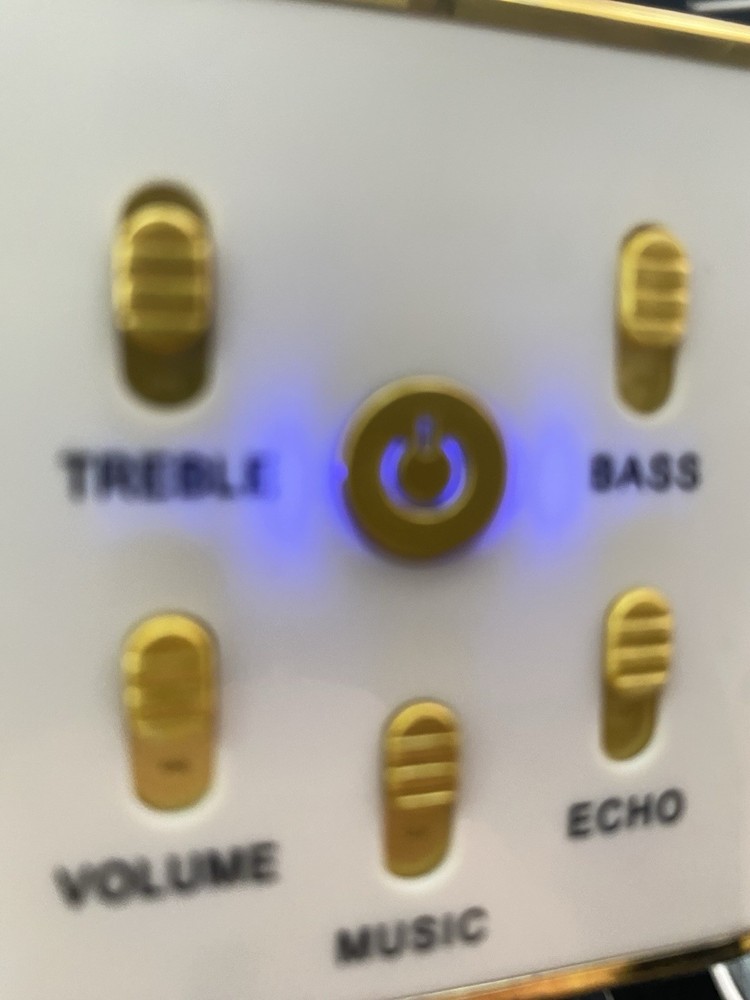 MyKaraoke Pro Bluetooth 2-in-1 Wireless Microphone & Speaker