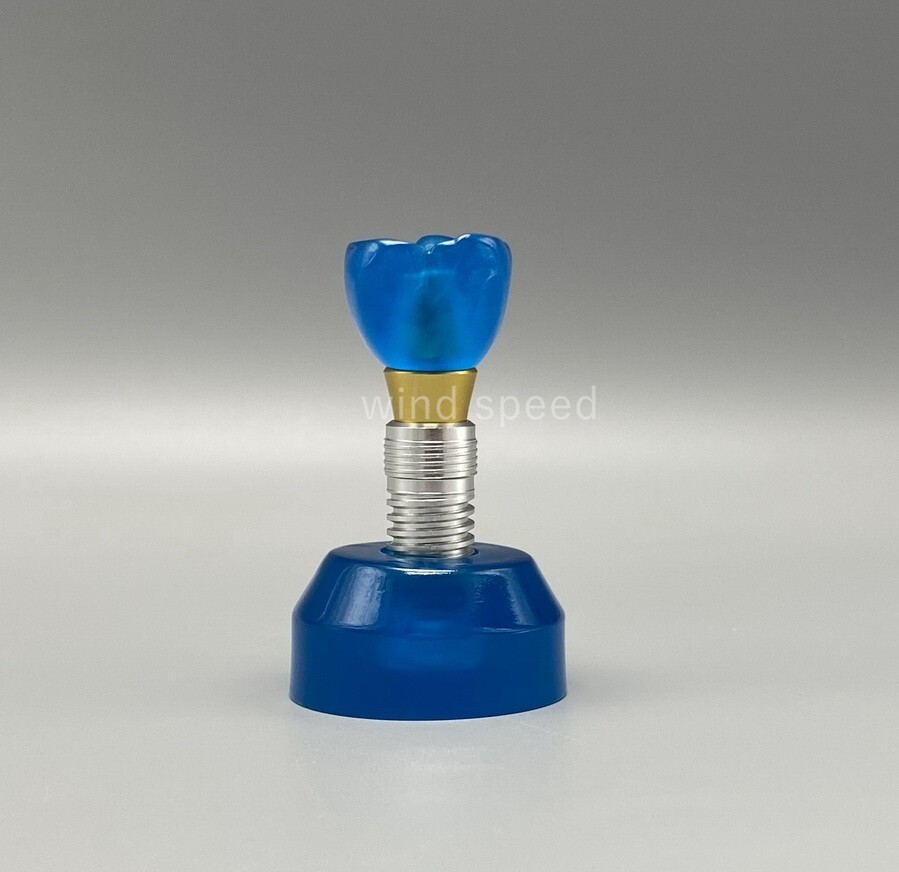 Dental Implant Model Demonstration Teeth Study Teaching Models Detachable M2020