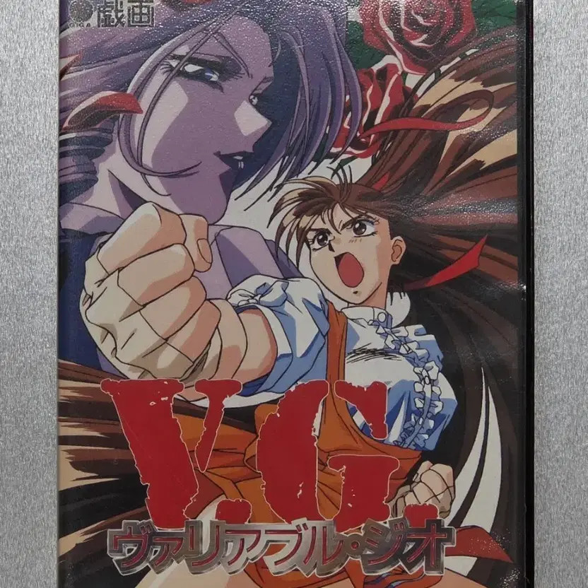 Variable Geo (VG) PC Game Classic 90s Fighting Genre