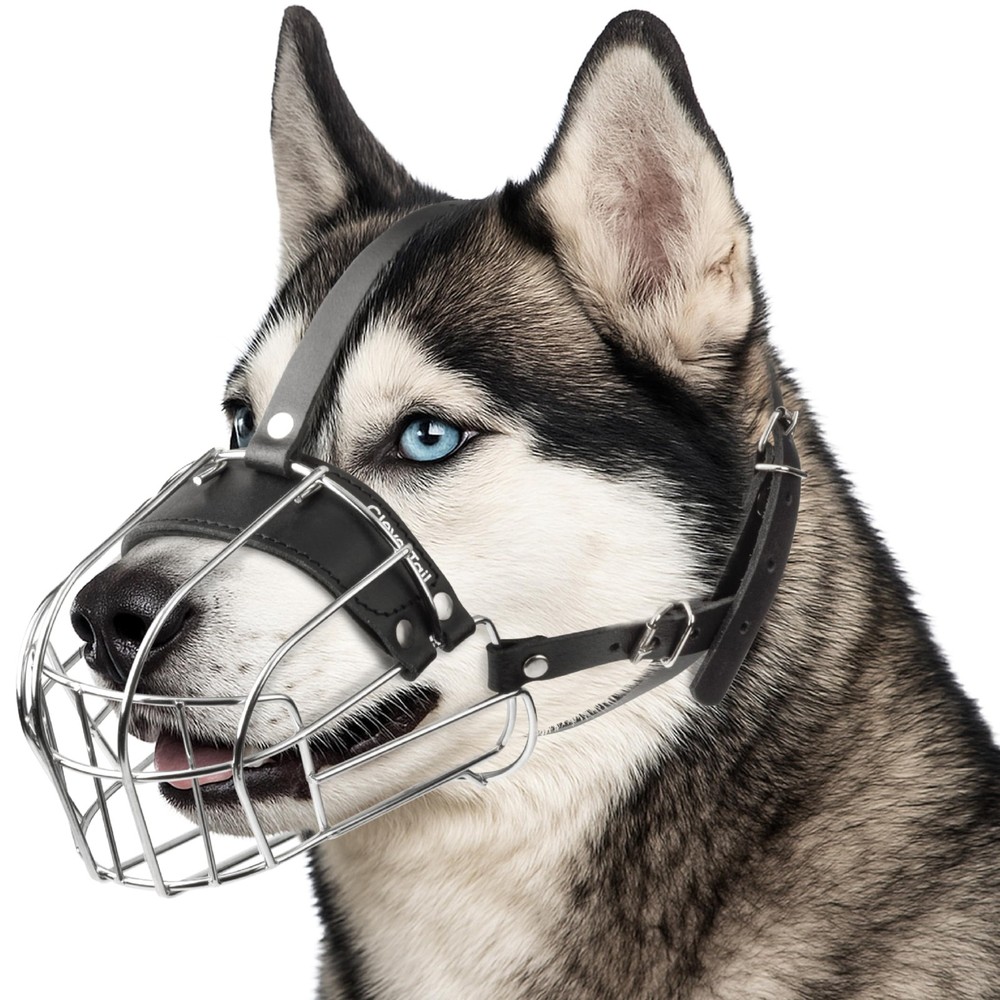 CleverTail Metal Husky Muzzle for Large Large, Silver Wire & Black Straps