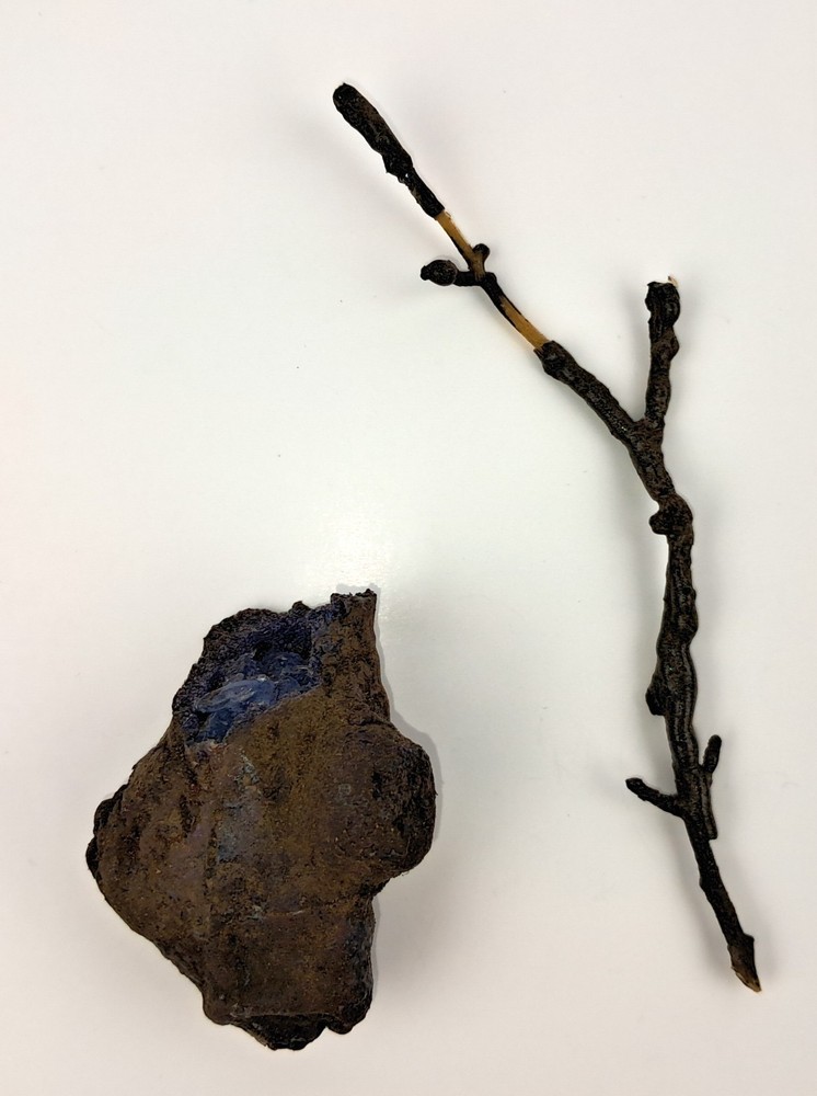 Once Upon a Time - TV Prop - Night Root pieces