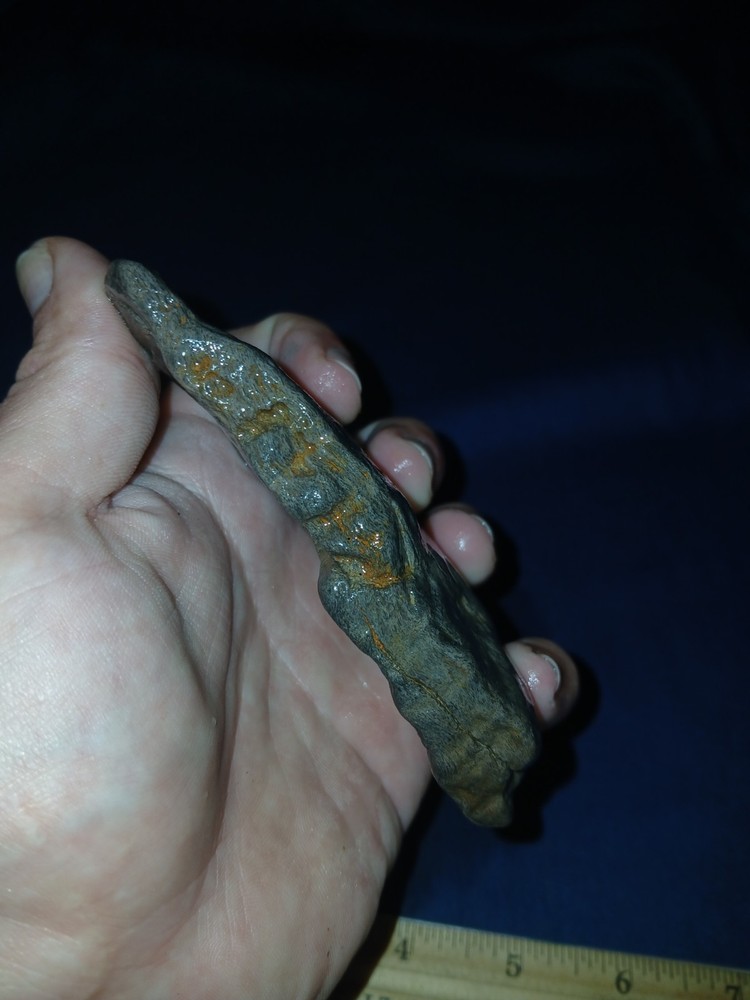 5.7 oz Texas Petrified Wood