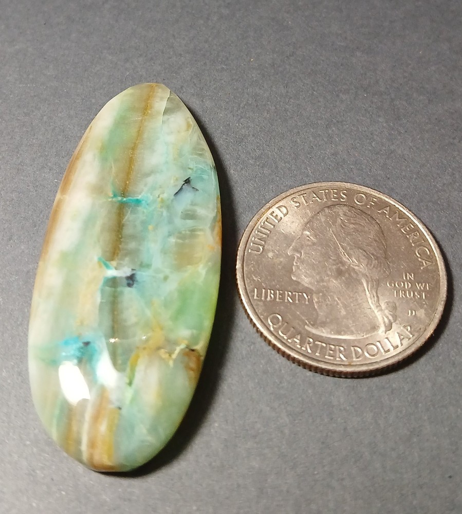 Indonesian Opalized Wood Cabochon