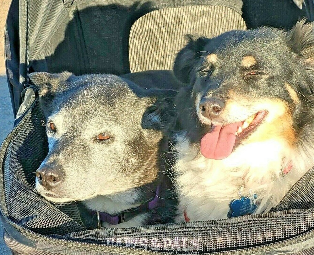 iBuild 217610 6" Adjustable Wrench TrueValue