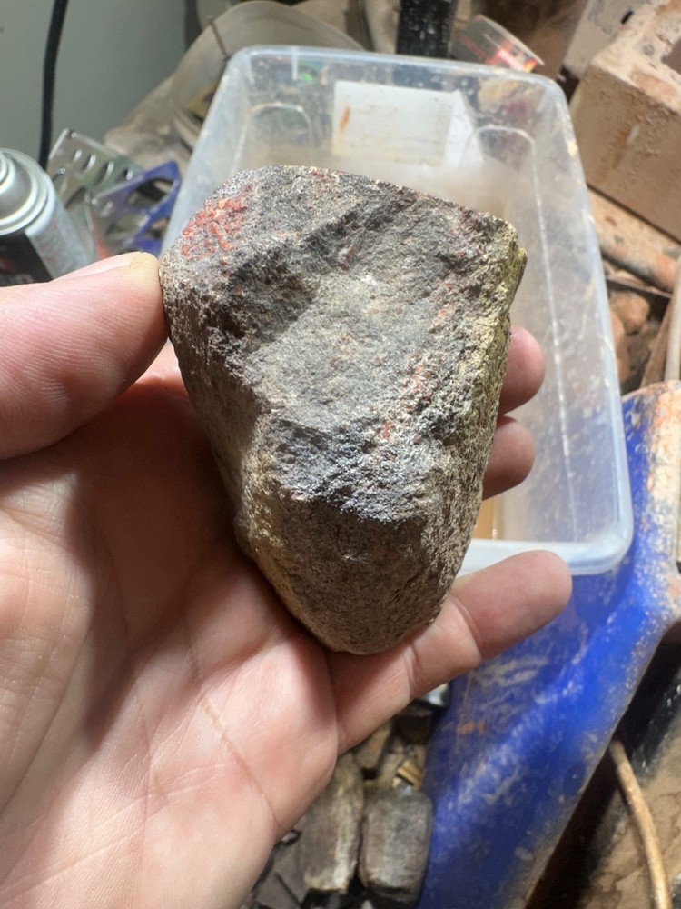 Dinosaur bone rough polished specimen