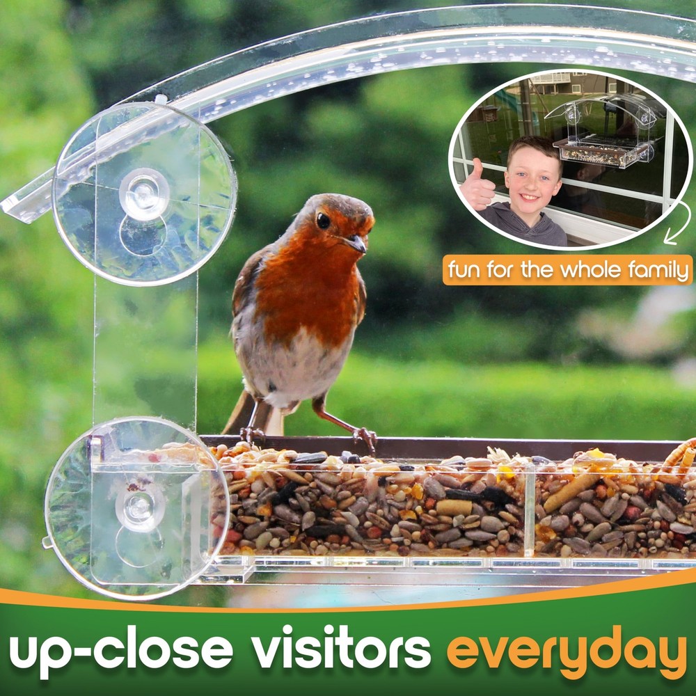 Window Bird Feeder with Sponsored by AmericanBirdwatching,