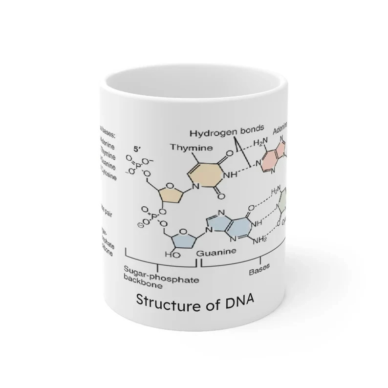 DNA Structure Mug Biology Coffee Cup Gift