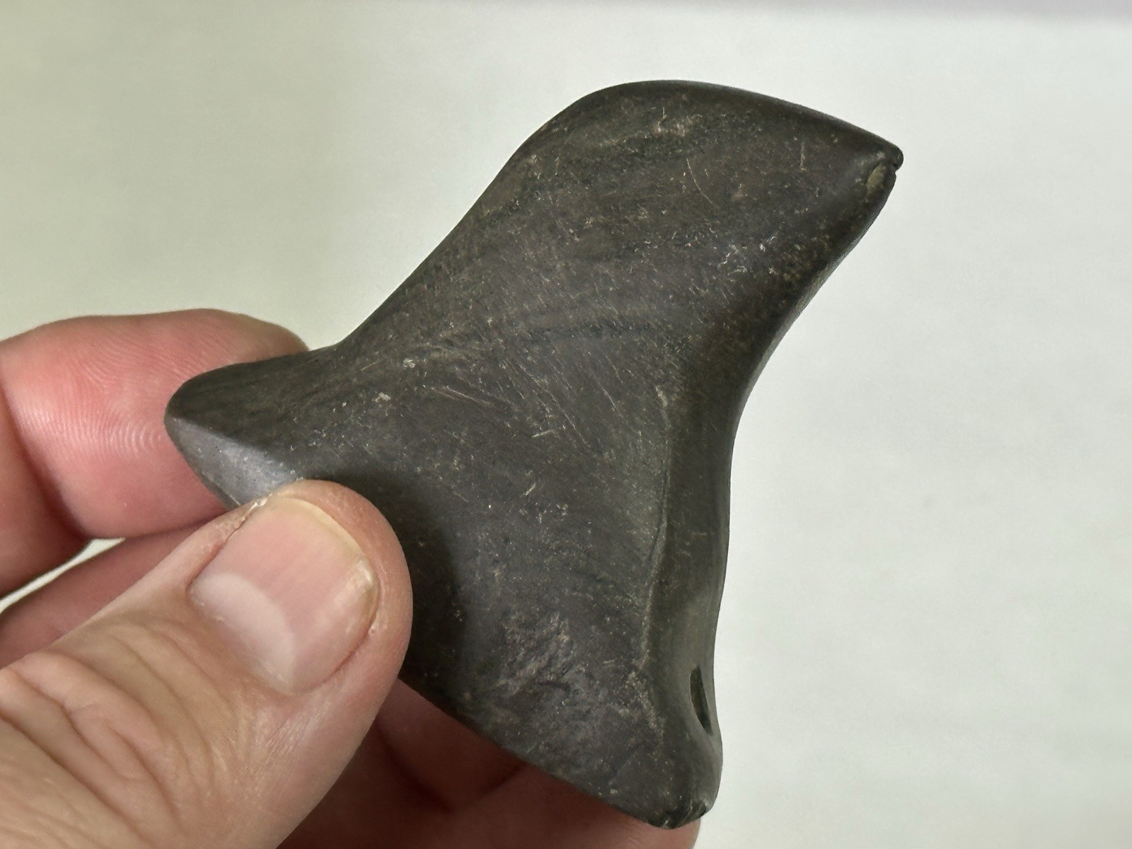 RARE AUTHENTIC BANDED SLATE BIRDSTONE FROM ASHLAND CO. OHIO, MOTLEY COA