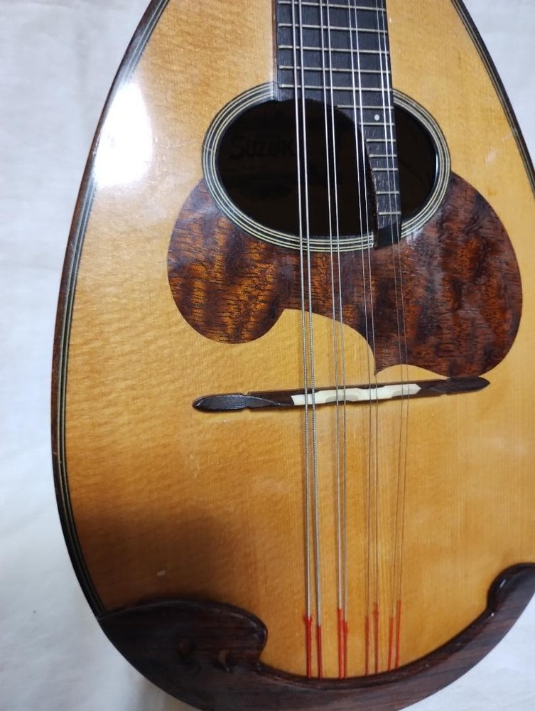 Suzuki Mandolin M-30