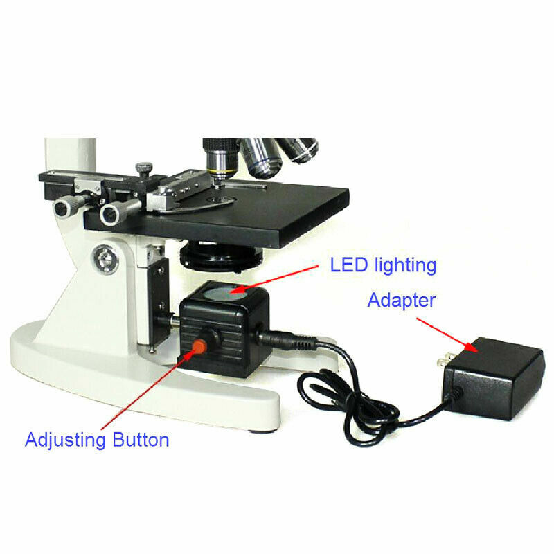 Microscope Bottom External Lamp Brightness Adjustable Microscope Light Source