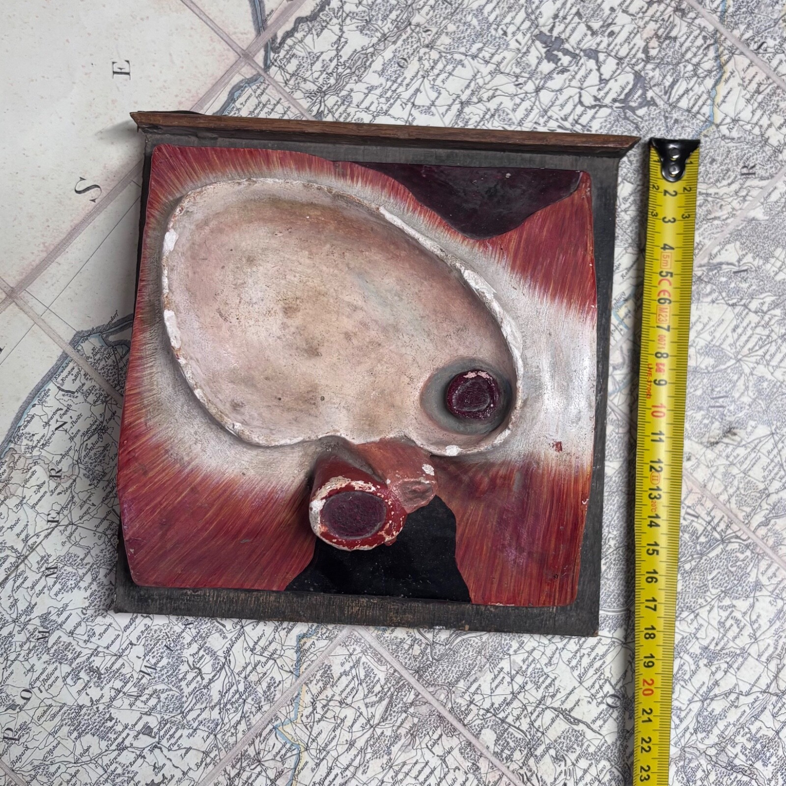 Rare 1930s Soviet Anatomical Model Dissectible Heart & Pelvic Vascular Section