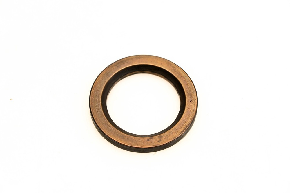 OMC 304697 Thrust Washer