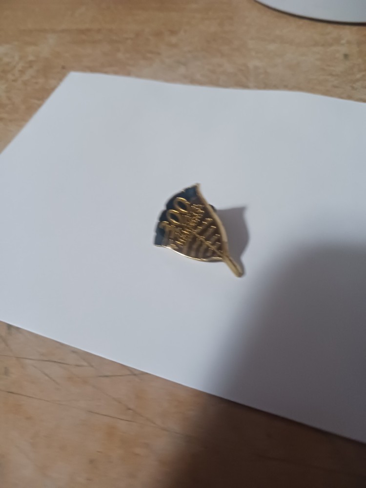 Nwtf 300 Members Pin