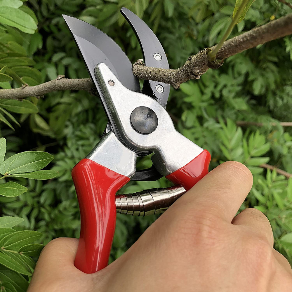 8" Professional Sharp Bypass Pruning Shears (GPPS-1002), Tree Trimmers Secateurs